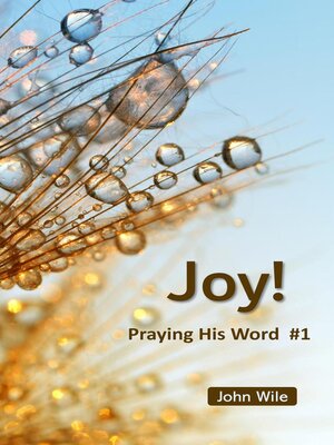 cover image of Joy!